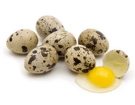 Quail eggs