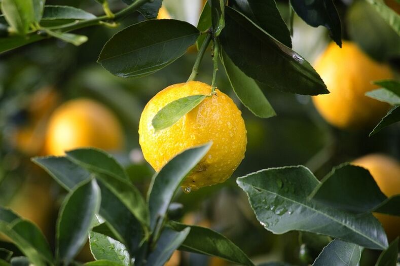 Lemon to increase the effect