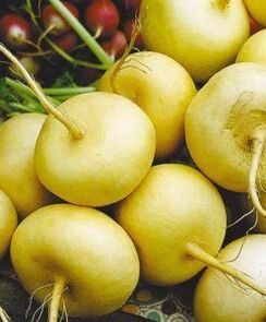 radish